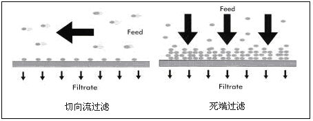 5d4d2a089d1ec.png 2.png