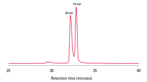 64559a8c1d996.png 333.png